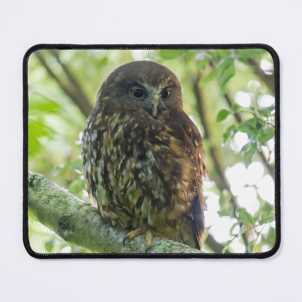 Item preview, Morepork Owl designed and sold by KarenWoodArt.