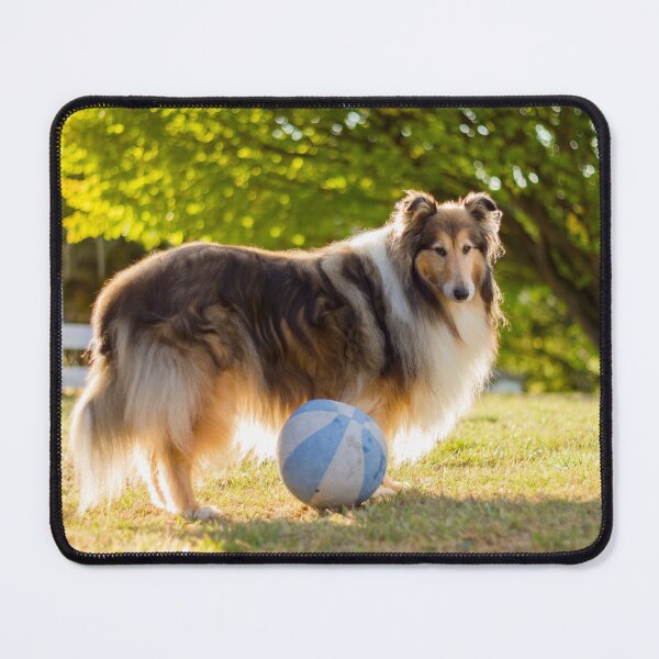 Item preview, Sunshine Collie designed and sold by KarenWoodArt.