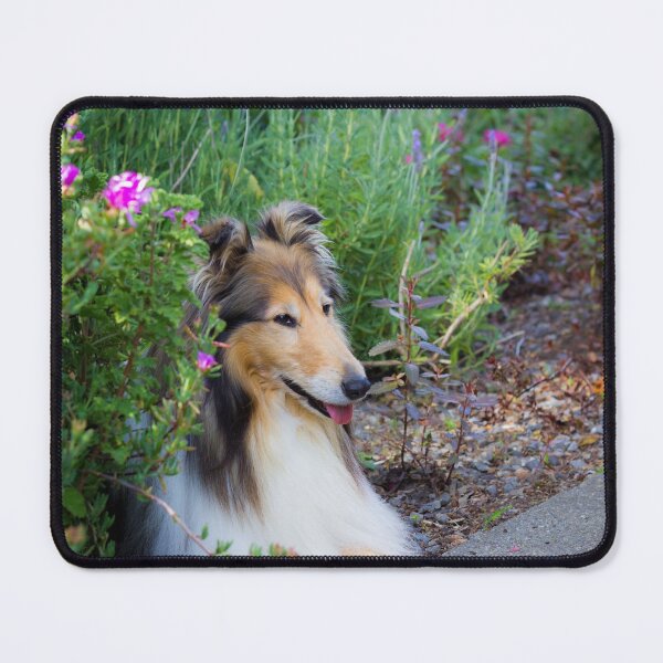 Item preview, Collie Flower designed and sold by KarenWoodArt.