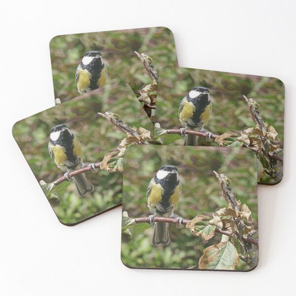Item preview, r-1048 / New Finition 2021 -- Mésange - (c)(t) Olavia-Olao Okaio Créations designed and sold by o.okaïo.