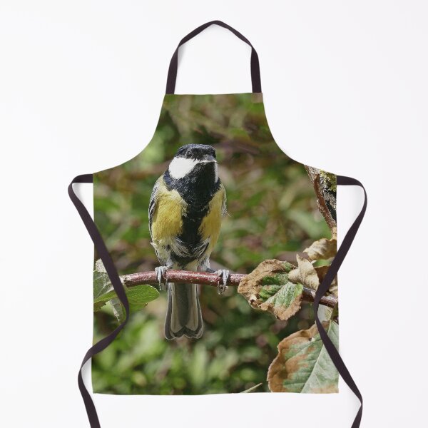Item preview, r-1048 / New Finition 2021 -- Mésange - (c)(t) Olavia-Olao Okaio Créations designed and sold by o.okaïo.