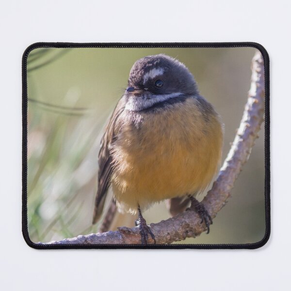 Item preview, Friendly Fantail designed and sold by KarenWoodArt.