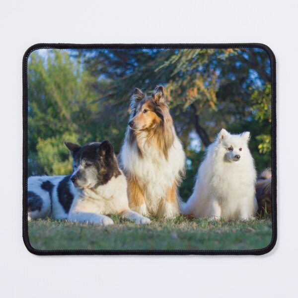 Item preview, Fantail Dogs designed and sold by KarenWoodArt.