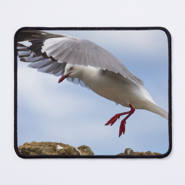 Item preview, Seagull Landing On Rock designed and sold by KarenWoodArt.