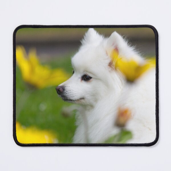 Item preview, Spring Spitz designed and sold by KarenWoodArt.