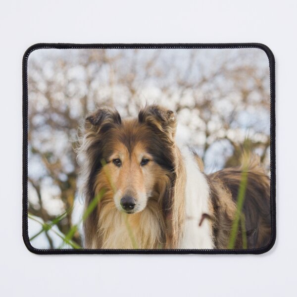 Item preview, Collie Magic designed and sold by KarenWoodArt.