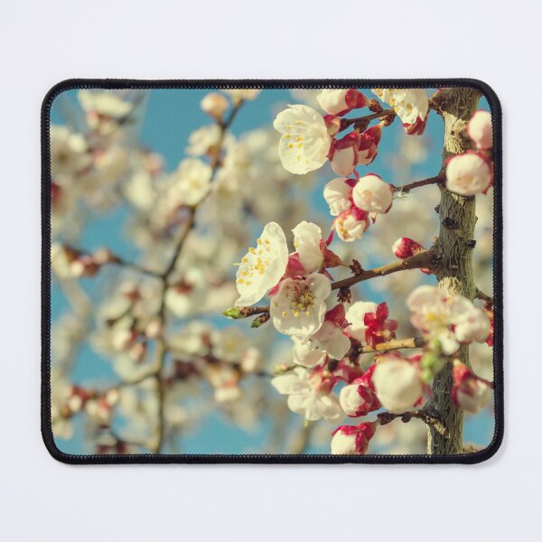 Item preview, Almond tree flowers designed and sold by Lefteris Betsis.