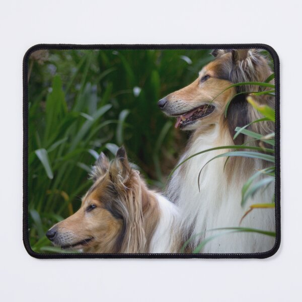 Item preview, Collie Sisters designed and sold by KarenWoodArt.