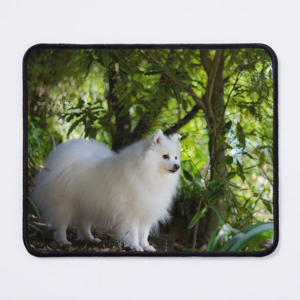 Item preview, Spitz In The Woods designed and sold by KarenWoodArt.