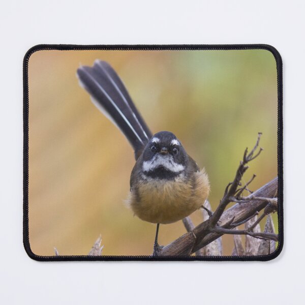Item preview, Fantail Bird Looking At You designed and sold by KarenWoodArt.