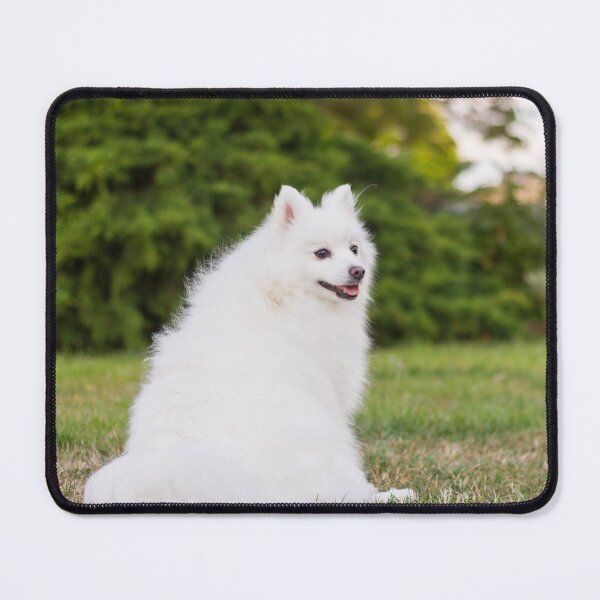 Item preview, Little Miss Spitz designed and sold by KarenWoodArt.
