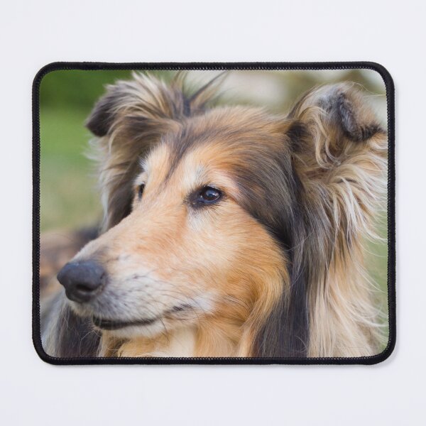 Item preview, Collie Friend designed and sold by KarenWoodArt.