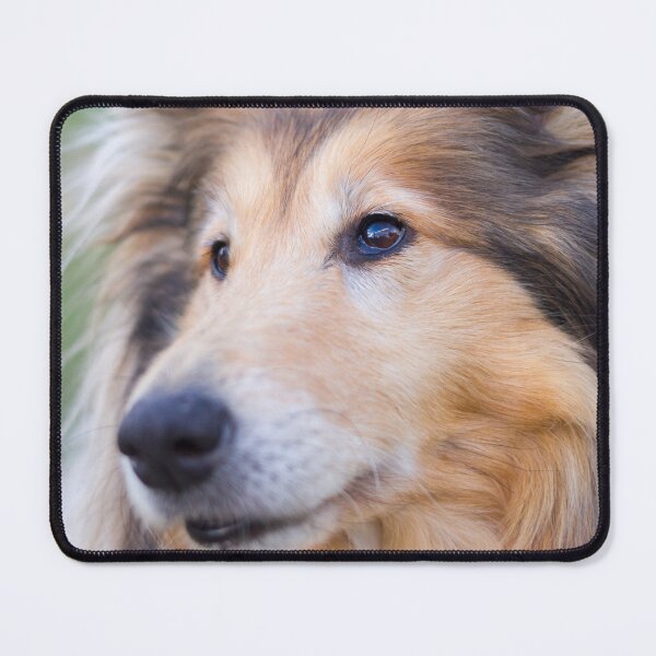 Item preview, Collie Eye designed and sold by KarenWoodArt.