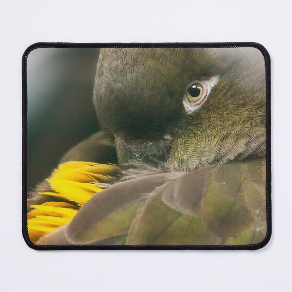 Item preview, Burrowing Parrot designed and sold by Dominika Aniola.