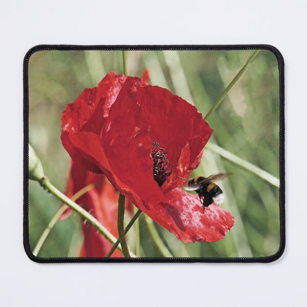Item preview, r 2552/ 5 " Un Porte-insecte Coquelicot " Tour de contrôle ! attention... J'arrive ! " par Okaio Créations Olavia&Olao designed and sold by o.okaïo.