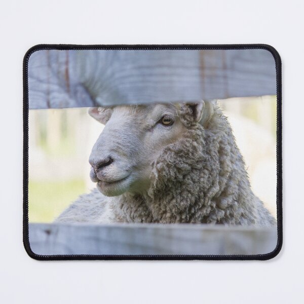 Item preview, Sheep Gazing Through The Fence designed and sold by KarenWoodArt.