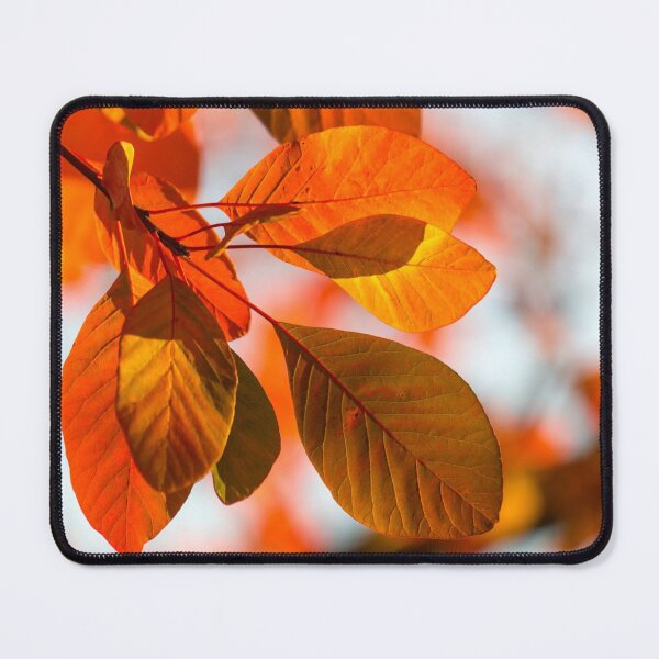 Item preview, Orange Autumn Leaves designed and sold by KarenWoodArt.
