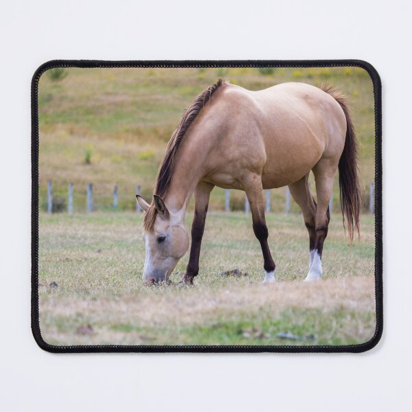 Item preview, Buckskin Horse designed and sold by KarenWoodArt.