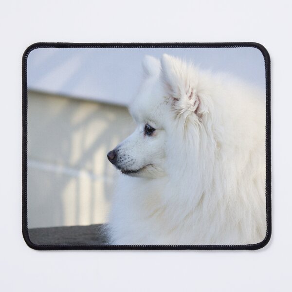 Item preview, White Shadow Spitz designed and sold by KarenWoodArt.