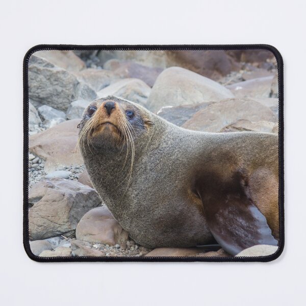 Item preview, Seal On The Rocks designed and sold by KarenWoodArt.