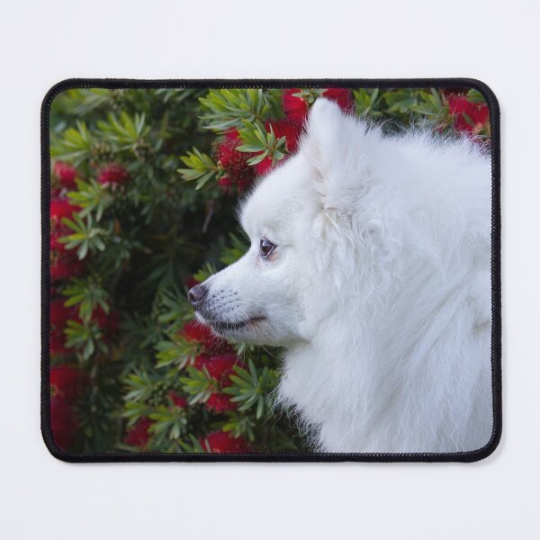 Item preview, Japanese Spitz Rocking Around The Christmas Tree designed and sold by KarenWoodArt.