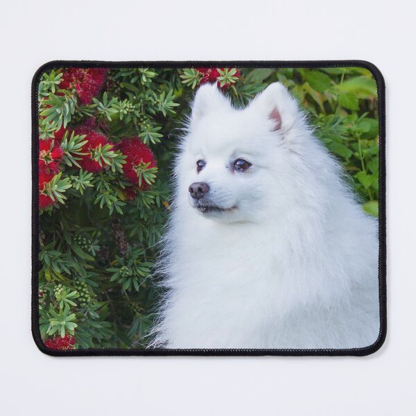 Item preview, Japanese Spitz Holiday Portrait designed and sold by KarenWoodArt.