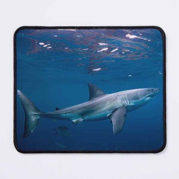 Item preview, Grand requin blanc sous l'eau designed and sold by Motivation111.