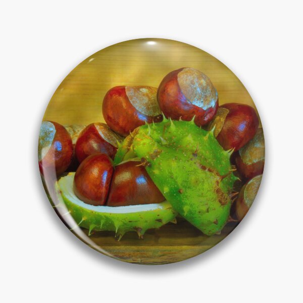 Item preview, Conker Season designed and sold by Dave Hare Photography.