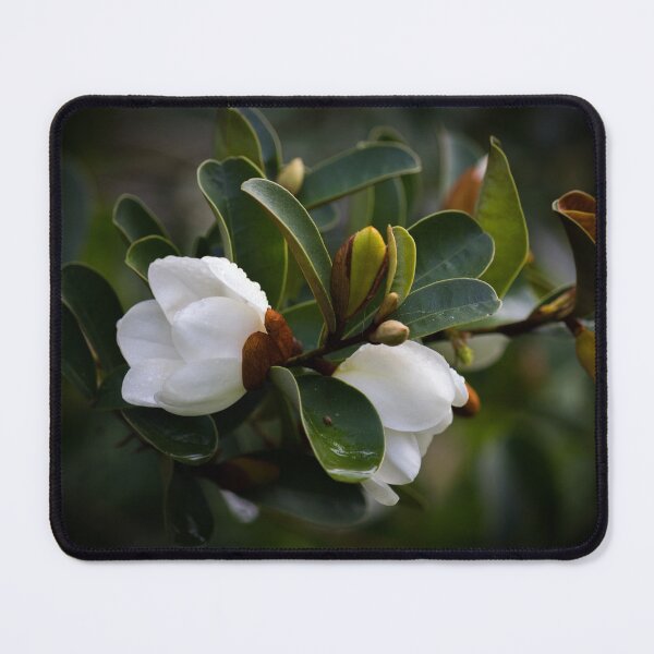 Item preview, Michelia designed and sold by KarenWoodArt.