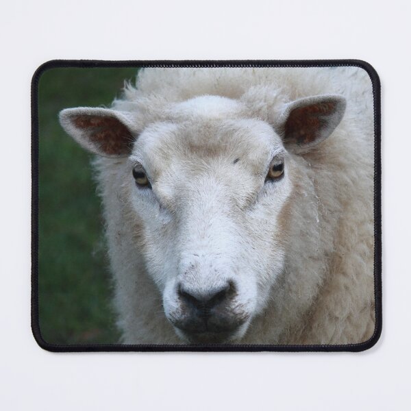 Item preview, Woolly Ewe designed and sold by KarenWoodArt.