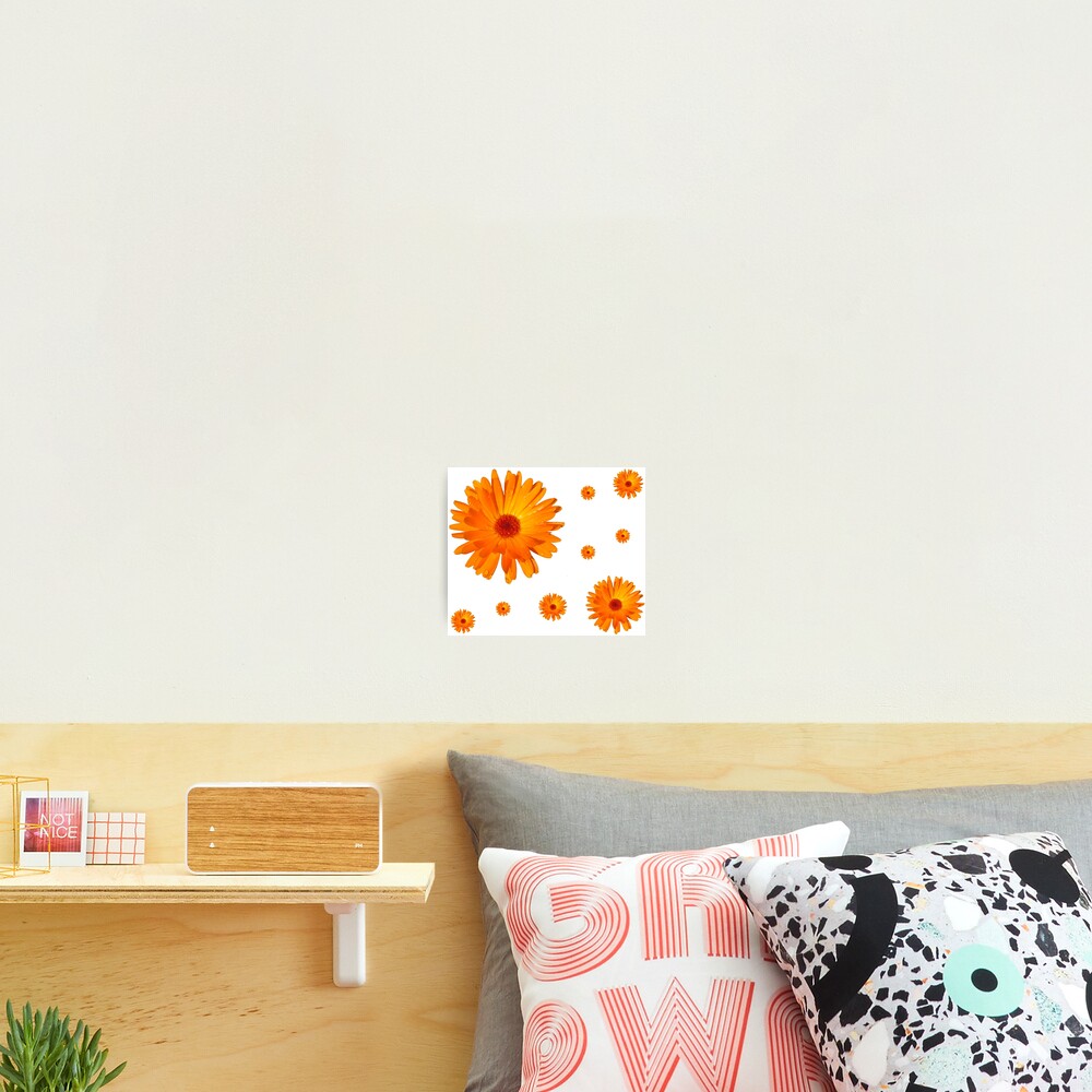 Item preview, Photographic Print designed and sold by RMSartZ.