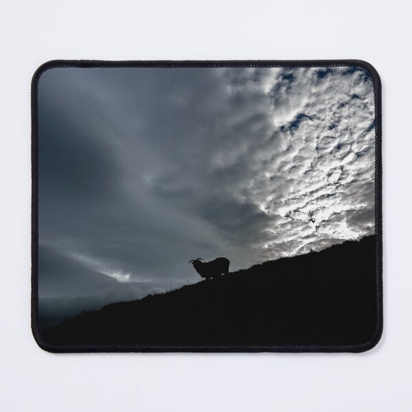 Item preview, In the dark, a lone sheep wanders on Croagh Patrick mountain in Ireland designed and sold by AlbertMi.