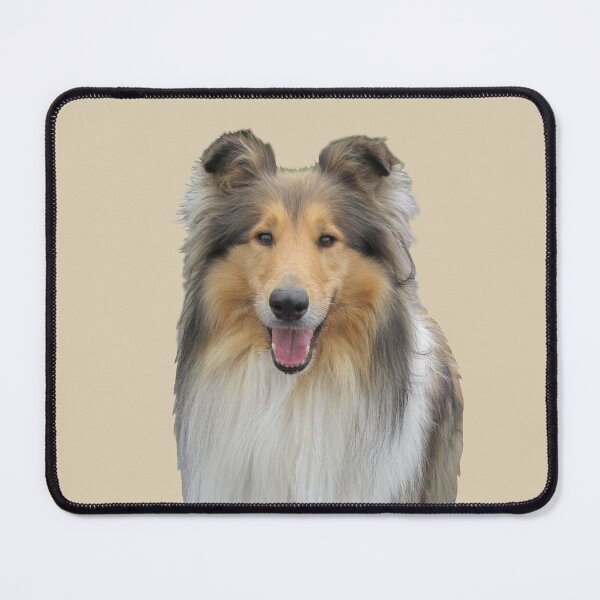 Item preview, Smiling Collie designed and sold by KarenWoodArt.