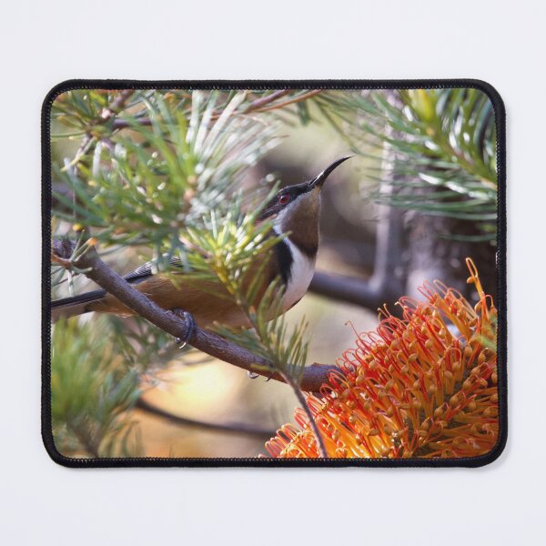 Item preview, Eastern Spinebill  designed and sold by MargsNaturePix.