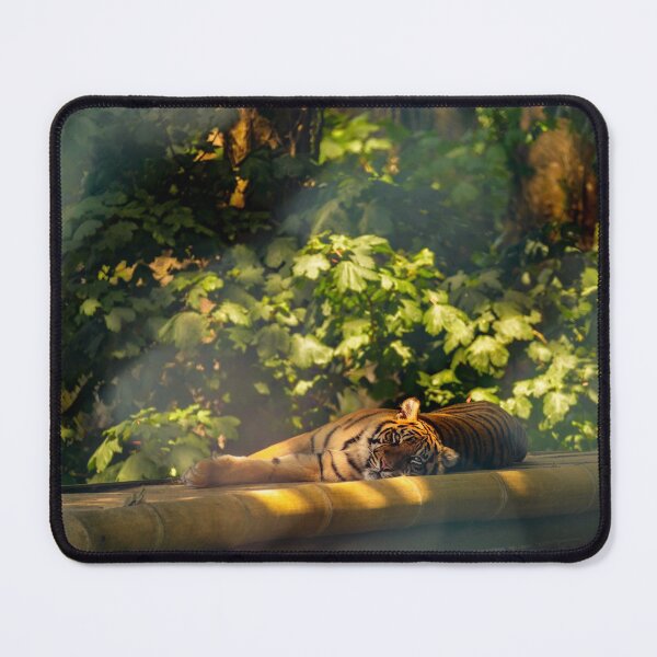 Item preview, Cute big tiger, resting in the shade of forest trees designed and sold by AlbertMi.