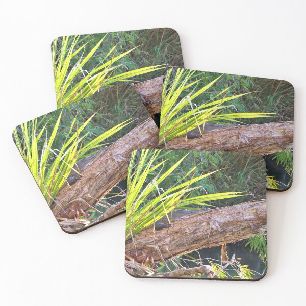 Item preview, Crocodile on a log, Ord River, Western Australia  designed and sold by FranWest.