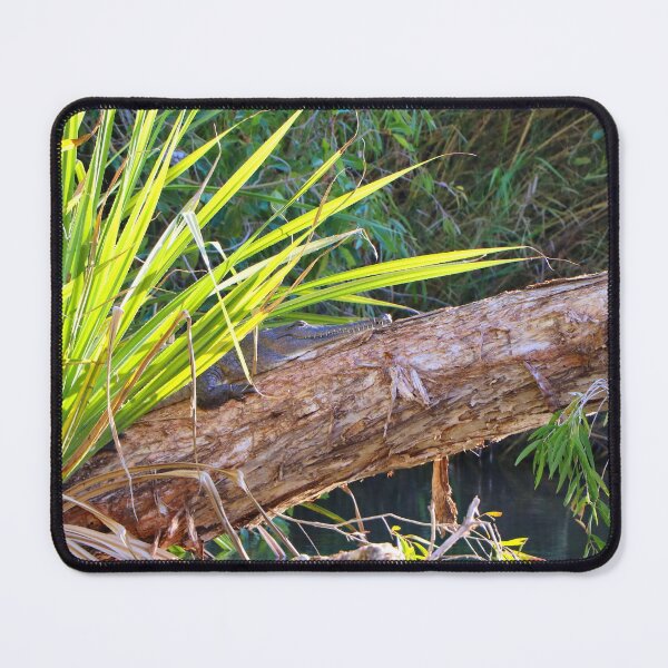 Item preview, Crocodile on a log, Ord River, Western Australia  designed and sold by FranWest.