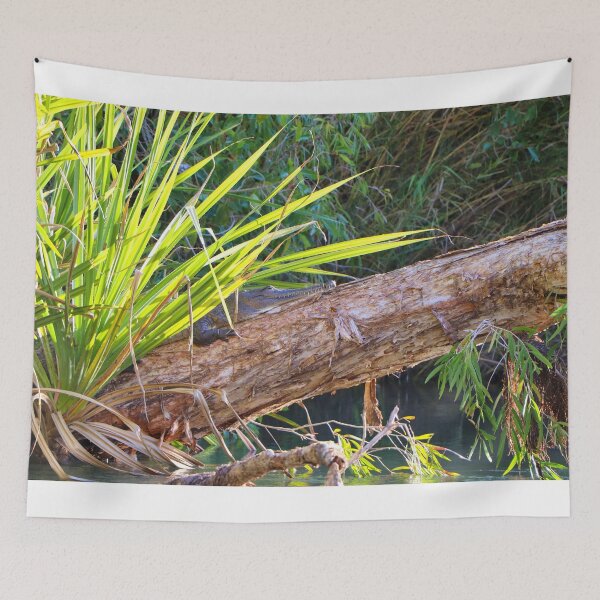 Item preview, Crocodile on a log, Ord River, Western Australia  designed and sold by FranWest.