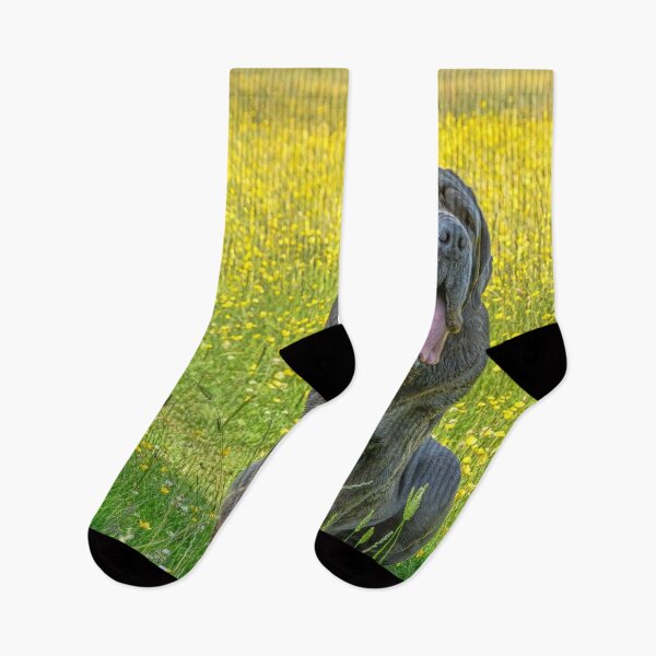 Item preview, Gorgeous Neapolitan Mastiff  Sitting In Summer Meadow  designed and sold by Mrspink16.