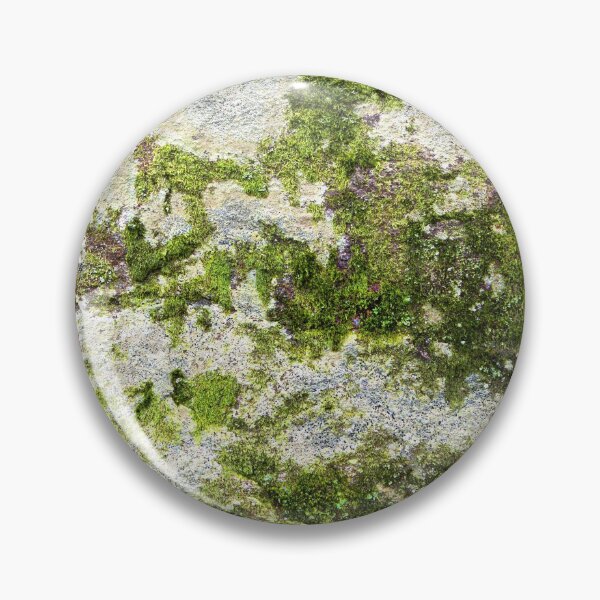 Item preview, Moss on stone Textures 23 designed and sold by Dave Hare Photography.