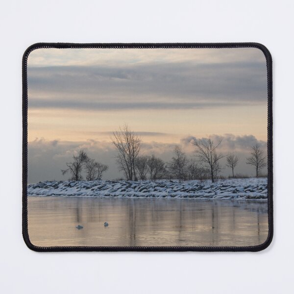 Item preview, Two Swans, Sleeping - Serene Winter Lake Scene designed and sold by Georgia Mizuleva.