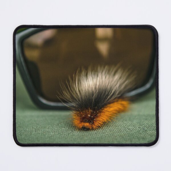 Item preview, Garden Tiger Moth caterpillar or Woolly Bear caterpillar because of its long hairs designed and sold by AlbertMi.