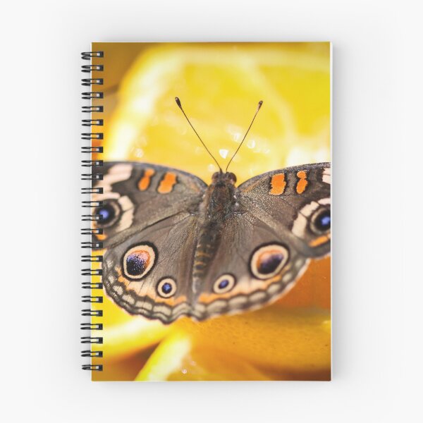 Item preview, Common Buckeye Junonia Coenia designed and sold by Henrik Lehnerer.