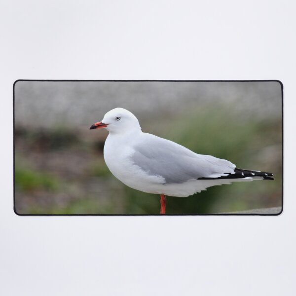Item preview, Seagull Standing On Wall designed and sold by KarenWoodArt.