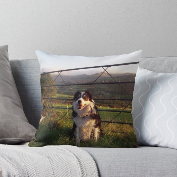 Item preview, Border Collie Country  designed and sold by Michael Haslam.