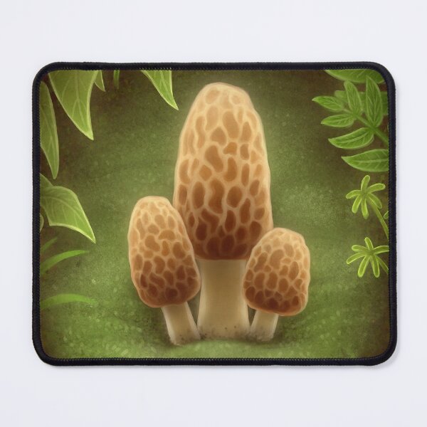 Item preview, Morel Mushrooms designed and sold by doomed-dreamer.