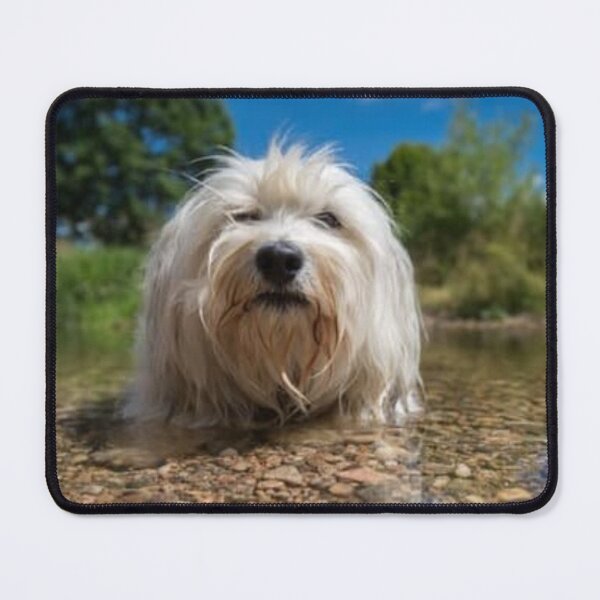 Item preview, Perro de vacaciones designed and sold by Rritu.