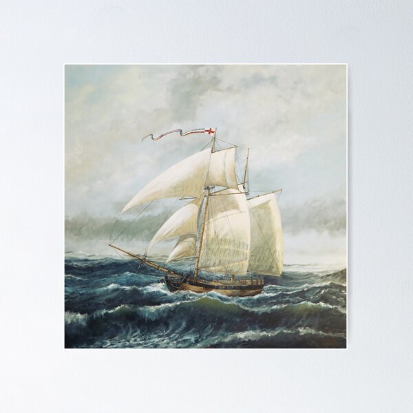 Item preview, HMS Pickle, Messenger of Trafalgar designed and sold by Jan Suchacki.
