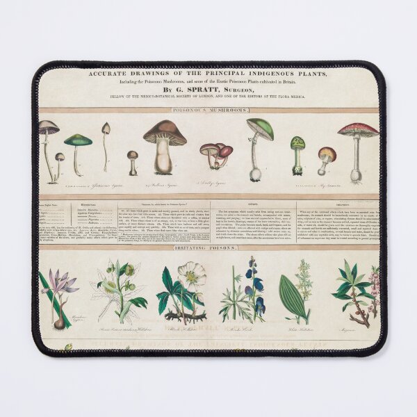 Item preview, Mushroom is my JAM! designed and sold by soulgarden.