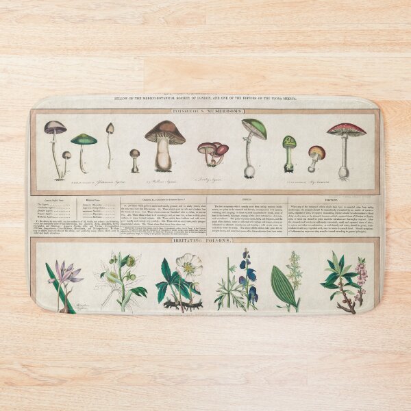 Item preview, Mushroom is my JAM! designed and sold by soulgarden.
